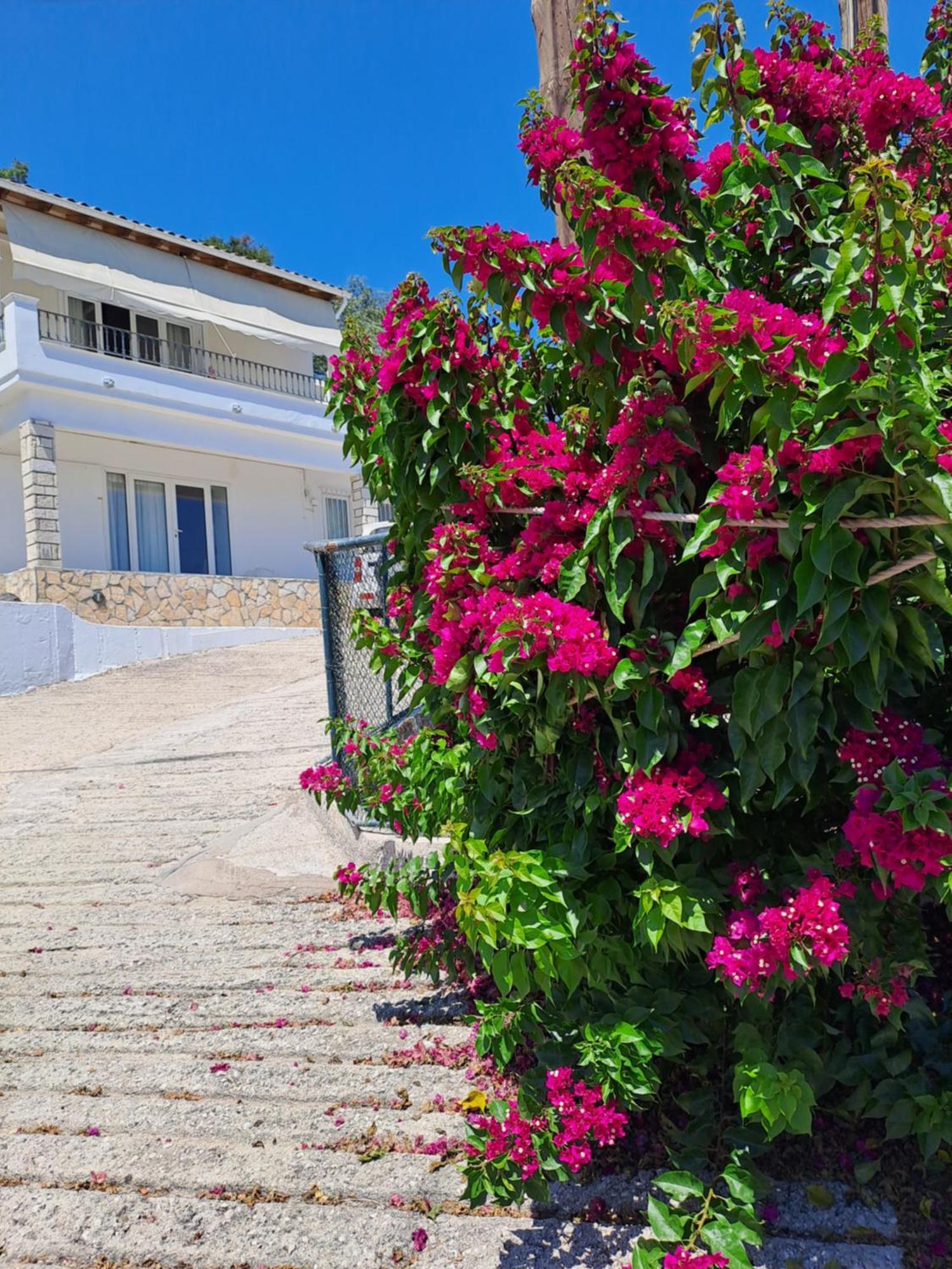 Appartement Bougainvillea Corfu (city) Exterior foto