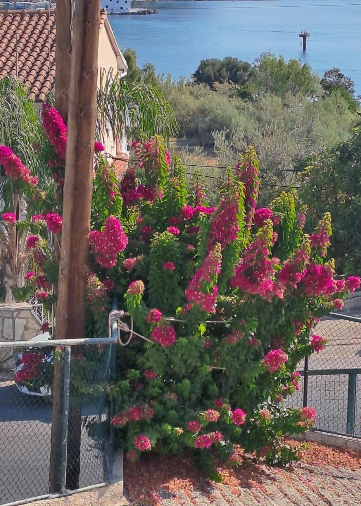 Appartement Bougainvillea Corfu (city) Exterior foto